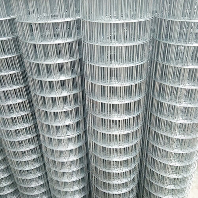 Hot Dipped Galvanized Welded Wire Mesh